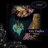 Image 5 of ☽ Vitis Vinifera ☾