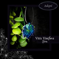 Image 6 of ☽ Vitis Vinifera ☾