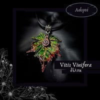 Image 4 of ☽ Vitis Vinifera ☾