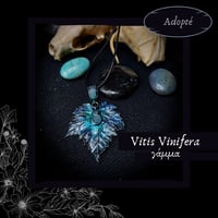 Image 3 of ☽ Vitis Vinifera ☾