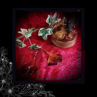 Image 2 of ☽ Ginkgo BlackFyre ☾