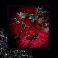 Image 4 of ☽ Ginkgo BlackFyre ☾