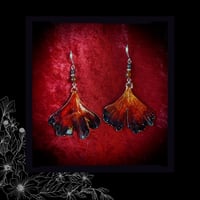 Image 5 of ☽ Ginkgo BlackFyre ☾