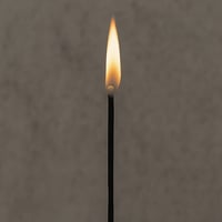 Image 2 of Statement Matches