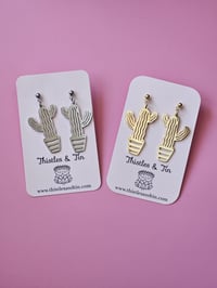 Image 1 of Euphorbia Cactus | Dangles 
