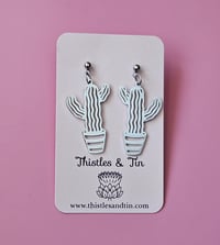 Image 4 of Euphorbia Cactus | Dangles 