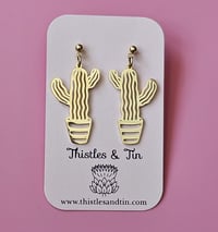 Image 5 of Euphorbia Cactus | Dangles 