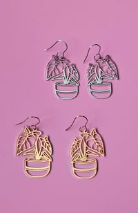 Image 1 of Alocasia | Dangles