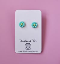 Image 3 of Bush Daisy | Stud Range - SKU 326