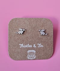 Image 3 of Mini Studs | Assorted | Stainless Steel 