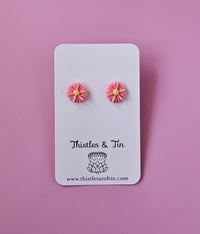 Image 4 of Bush Daisy | Stud Range - SKU 326