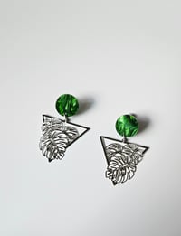 Image 3 of Monstera | Dangles 
