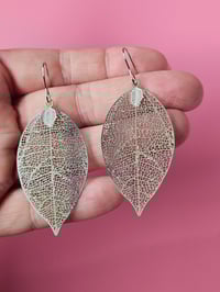 Image 6 of Autumn | Dangles 