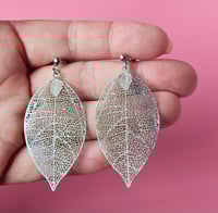 Image 7 of Autumn | Dangles 