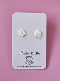 Image 6 of Bush Daisy | Stud Range - SKU 326