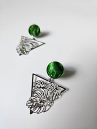 Image 5 of Monstera | Dangles 
