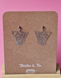 Image 7 of Monstera | Dangles 