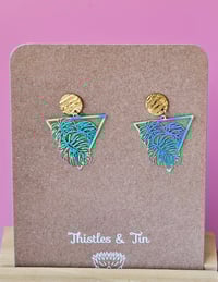 Image 8 of Monstera | Dangles 