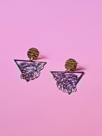 Image 9 of Monstera | Dangles 