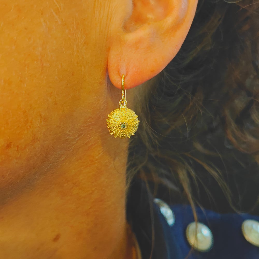 Beeld van Sea urchin/diamond and shell