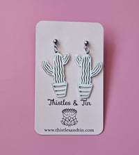 Image 4 of Euphorbia Cactus Dangles