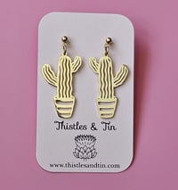 Image 5 of Euphorbia Cactus Dangles