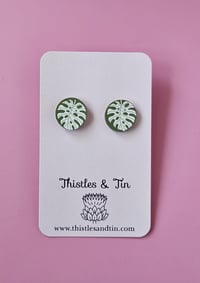 Image 8 of Plant Lover Wooden Stud Range