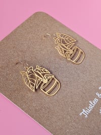 Image 3 of Alocasia | Dangles