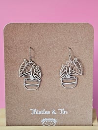 Image 5 of Alocasia | Dangles