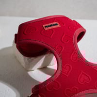 Image 1 of LOVE LUX HARNESS SET - ROUGE