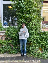 Image 3 of Grey Liebe sweatshirt PULLI 