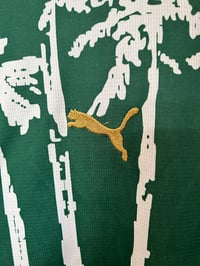 Image 5 of Palmeiras 25-26 Special Edition