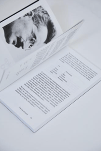Image 3 of THE USE OF SPACE - Max TURNHEIM