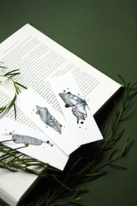 Image 1 of Bookmark Set of Single Lifecycle of a Butterfly (Papilio Machaon)