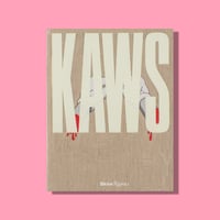 KAWS, Monographie Skira Rizzoli