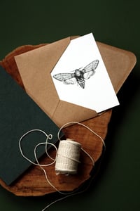 A6 Print/Postcard 'Death Head Hawk Moth'