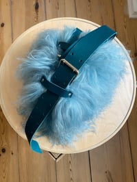Image 3 of Shag bag