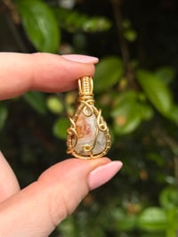 Crazy Lace Agate