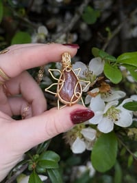 Image 2 of Sunstone Sunflower