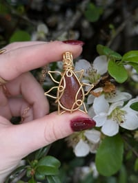 Image 1 of Sunstone Sunflower