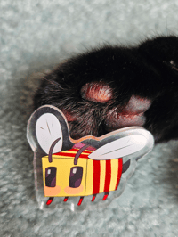 Image 1 of Bee Acrylic