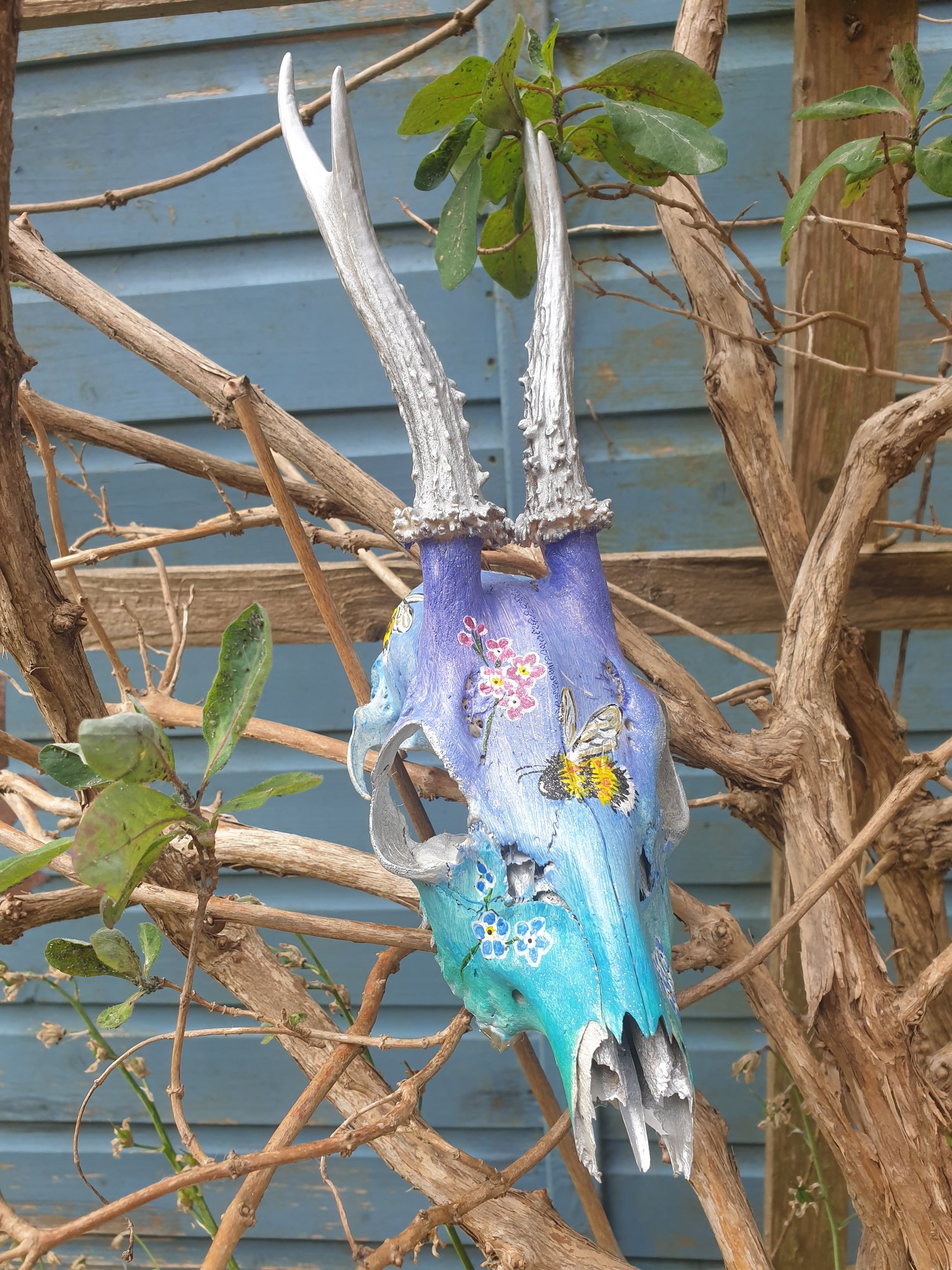 Image of Florian. Hand painted deer skull