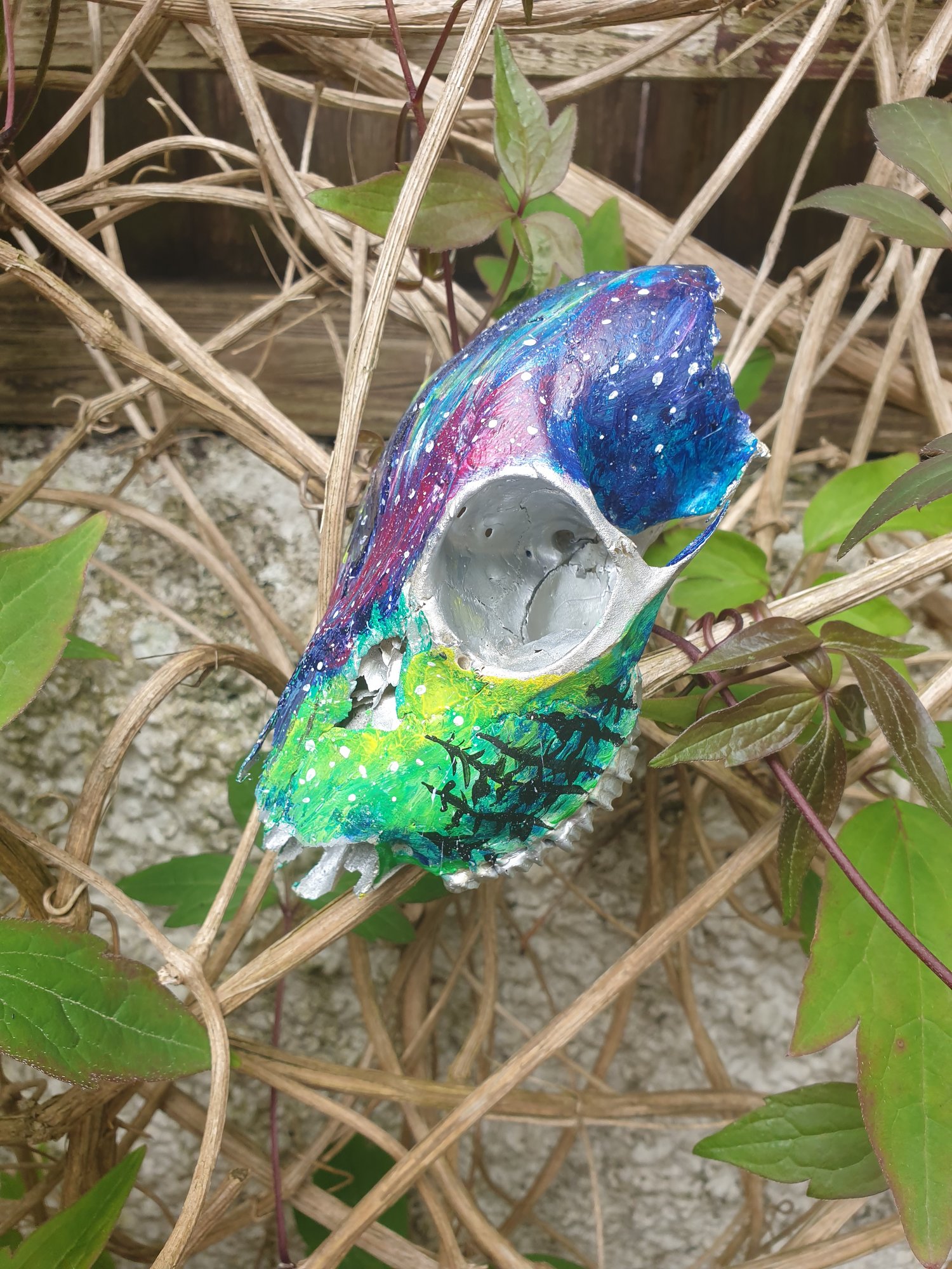 Image of Northern Lights. Handpainted deer skull