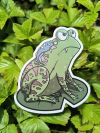 Grumpy Green Frog