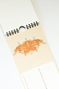 Image 4 of Birthday Calendar - Colourful Nature 