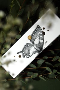 Image 3 of Bookmark Set of Single Lifecycle of a Butterfly (Papilio Machaon)