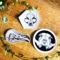 Skulls Stickerpack - Set of 3 vinyl stickers
