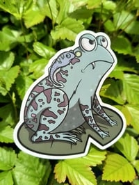 Grumpy Blue Frog 