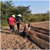 Image 6 of Mini Rotary tiller Diesel engine