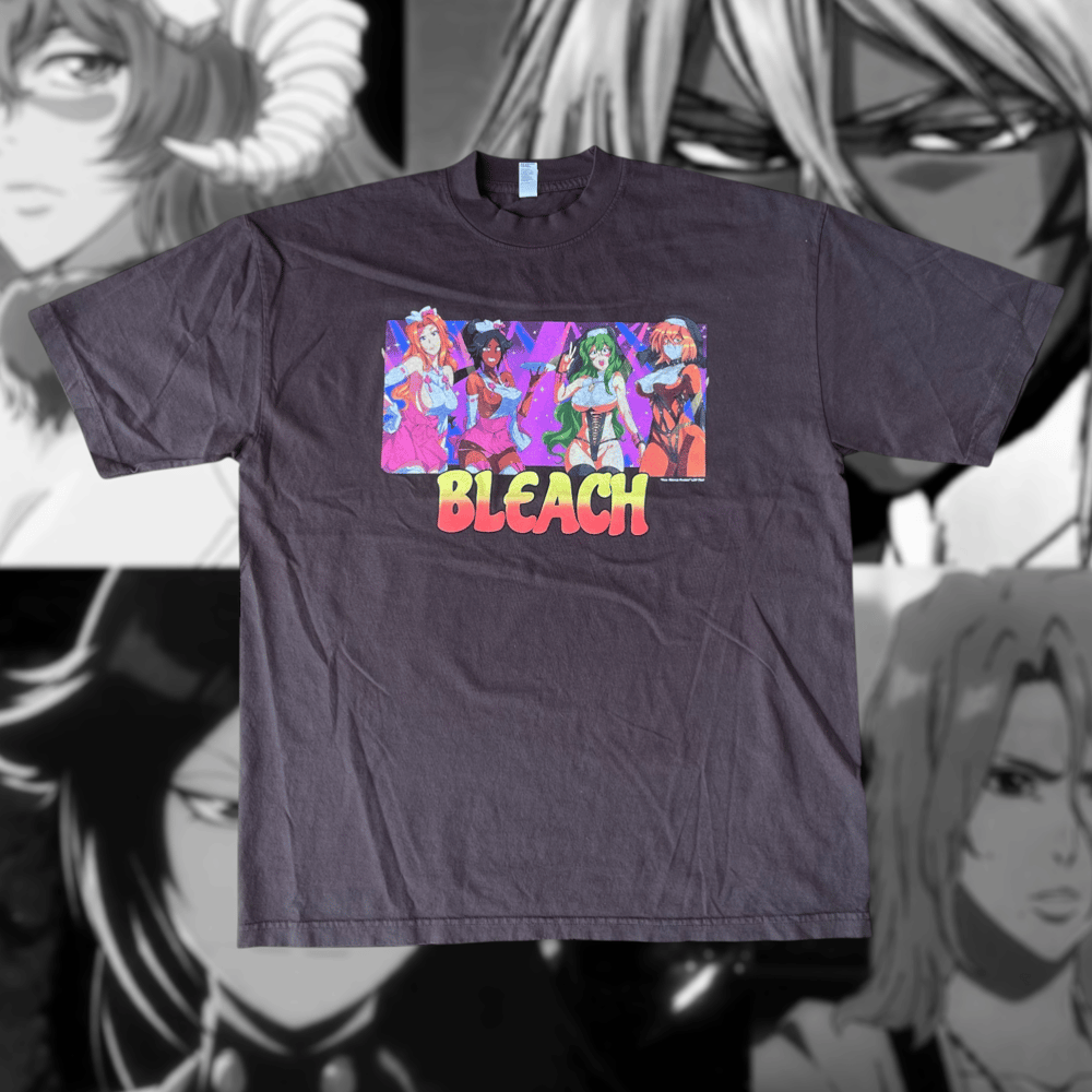 Image of Bleach Maids
